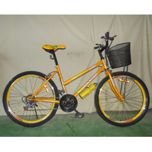 Good Quality 18sp Mountain Bike Woman Bicycle (FP-LDB-028)